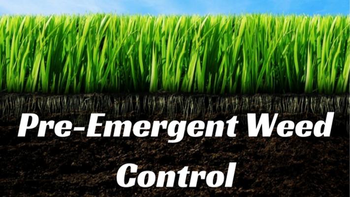 Pre-Emergent-Weed-Controlresize
