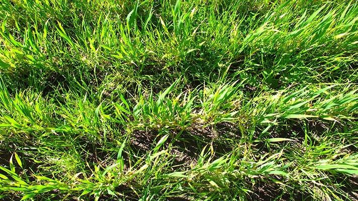 Pre-emNationalTrials1_711x400resize