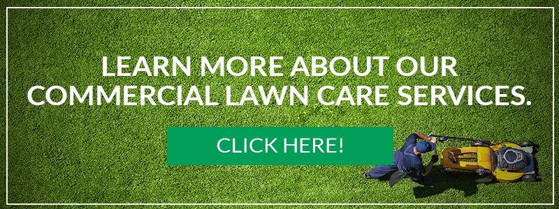 ur-commercial-lawn-care-services