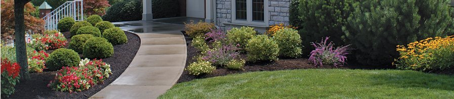 Residential Landscaping Service