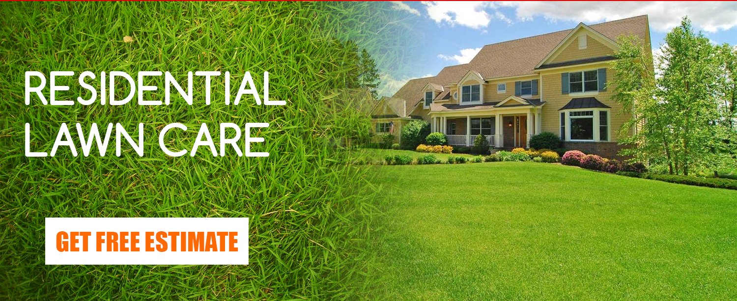 Residential Lawn Care_1500x613 HLB Services