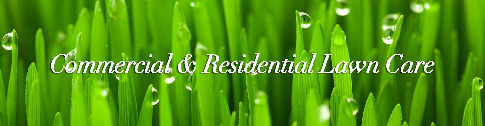 Commercial and Residential Lawn Care