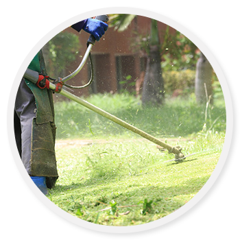 Weed eating and Trimming lawn care services