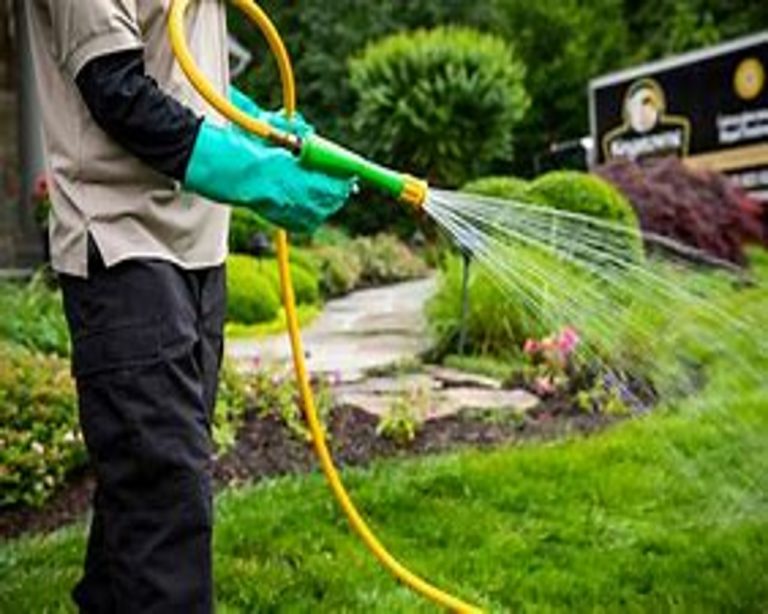 Lawn Spraying Weed Control Hlb Services 