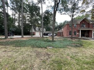 iscape_488f7e65-b1d7-4190-a256-beba9cfbf10a