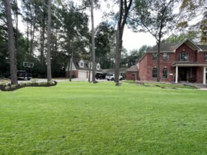 iscape_4f3b9111-2d75-4b34-9cd8-246a972a2084