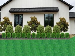 iscape_56c74f84-fae8-46df-904e-0a33fa88c049