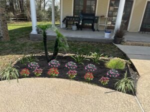 iscape_93e65b7a-19dd-44e4-9a46-97f0ff1ccc98