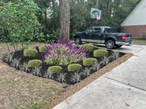 iscape_cf1e727e-23cc-419a-8098-d8585da21517