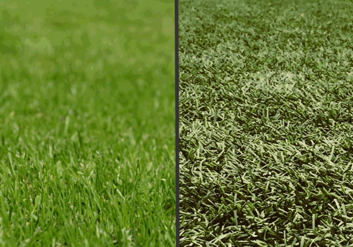 Artifical-grass-vs-real-grass-1024x507
